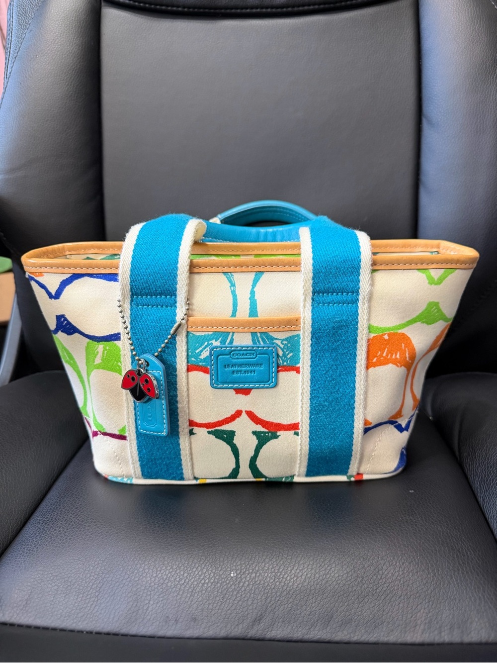 Vintage coach Hampton scribble mini tote